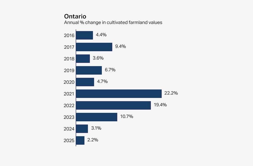 Farmland values in Ontario have stagnated after siginficant growth in the early 2020s. Photo: Courtesy FCC
