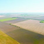 Alberta, Saskatchewan and Manitoba were responsible for much of Canada’s annual average increase in farmland prices last year. Photo: File
