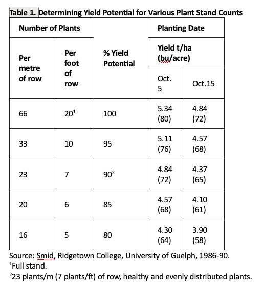 Wheat stand counts and how they relate to yield potential. Source: Ridgetown College, University of Guelph