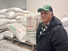 Terry Byrne. Photo: Matt McIntosh