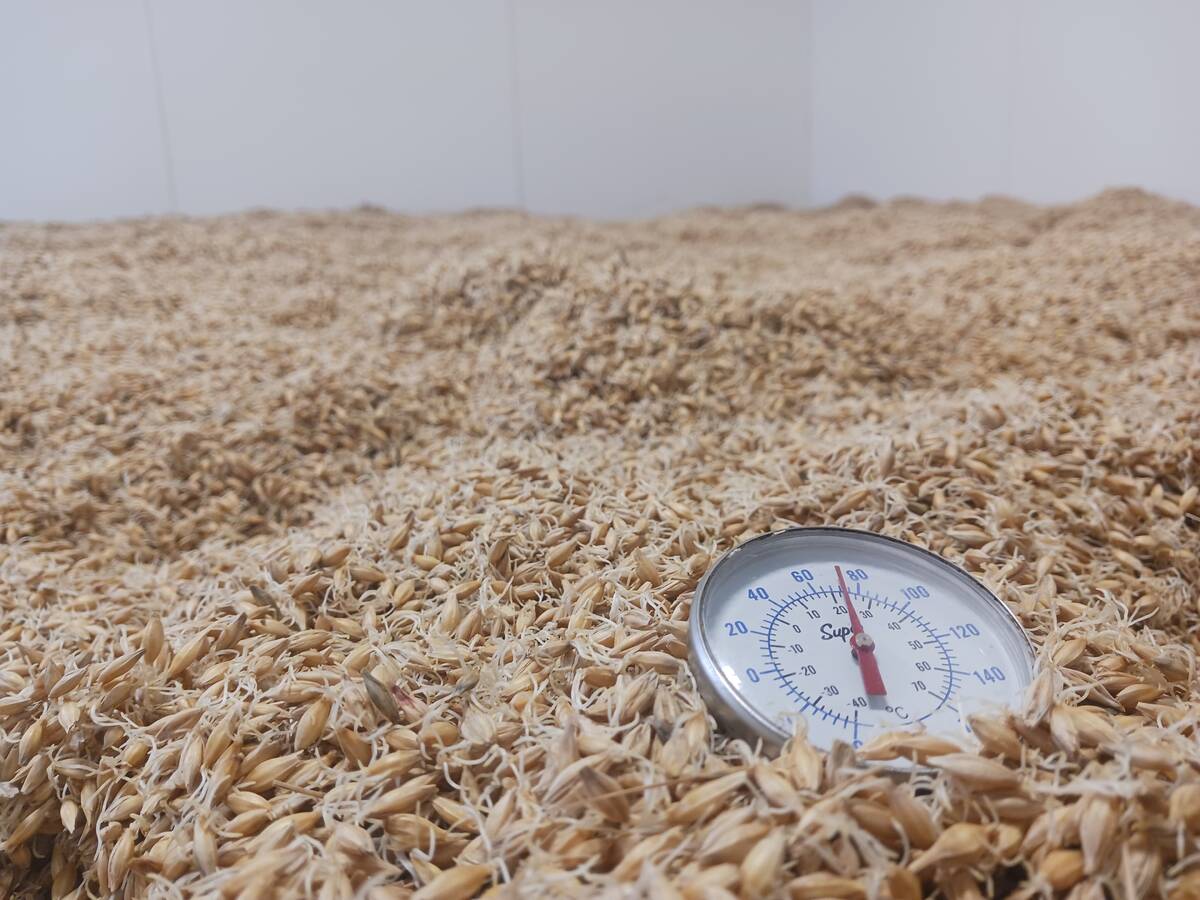 The Byrne family&rsquo;s floor malting room. 
Photo: Matt McIntosh 