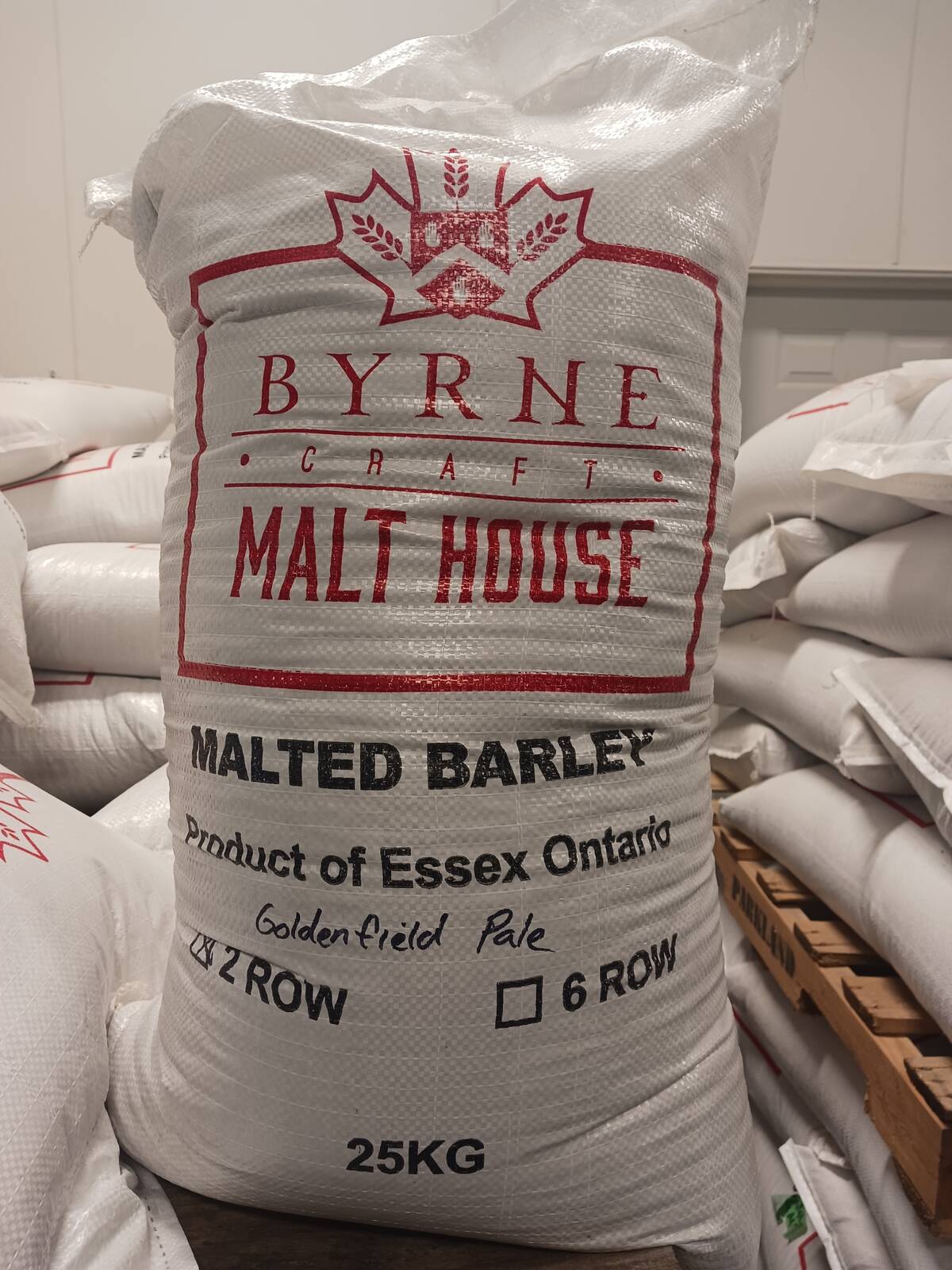 Byrne produces pale barley malt &ndash; the base malt used in most beer. Photo: Matt McIntosh 