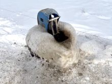 Tom Cunningham installed a nose pump to provide water for 180 cows and, in spite of prolonged -30 Celsius temperatures this winter, it never froze up and continued to provide ground-temperature warm water.. Photo: Tom Cunningham