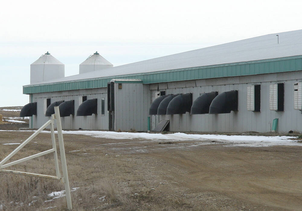 Fresh air intakes are critical to air and temperature quality in a hog barn, along with a system of fans, soffit vents and gable openings. Photo: File