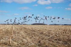 From Wednesday through Friday, Manitoba and Saskatchewan can expect partly or mostly cloudy skies and the chance of occasional flurries. Photo: Getty Images
