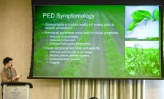 Griffin Bailey, Little Potato Company's regional agronomist for Eastern Canada, presents the results of his 2021 to 2023 Ontario research on Potato Early Dying (PED) complex and potential management practices to minimize its impact on potato yields for commercial growers during the Ontario Potato Conference in Guelph on March 5, 2026. Photo: Diana Martin