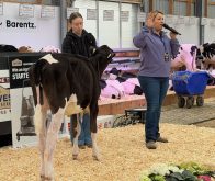 Kelly Reynolds of Mill Wheel Show Clinics talks about showmanship tips at the Canadian Dairy Xpo 2026. Photo: John Greig