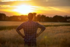 Mental health support in agriculture is reaching farmers through anonymous peer platforms. Photo: Thinkstock
Alt text: A farmer stands alone in a field at sunset, looking out over the crops with hands on hips. The warm light silhouettes the figure against a wide prairie sky. Photo: Thinkstock