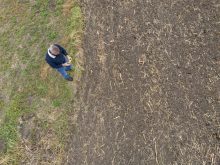 As spring begins, farmers are thinking about what to plant and which seeds and crop protection products to use. Meanwhile, weather, markets and geopolitics are out of their control. Photo: Marccophoto/Getty Images Plus
