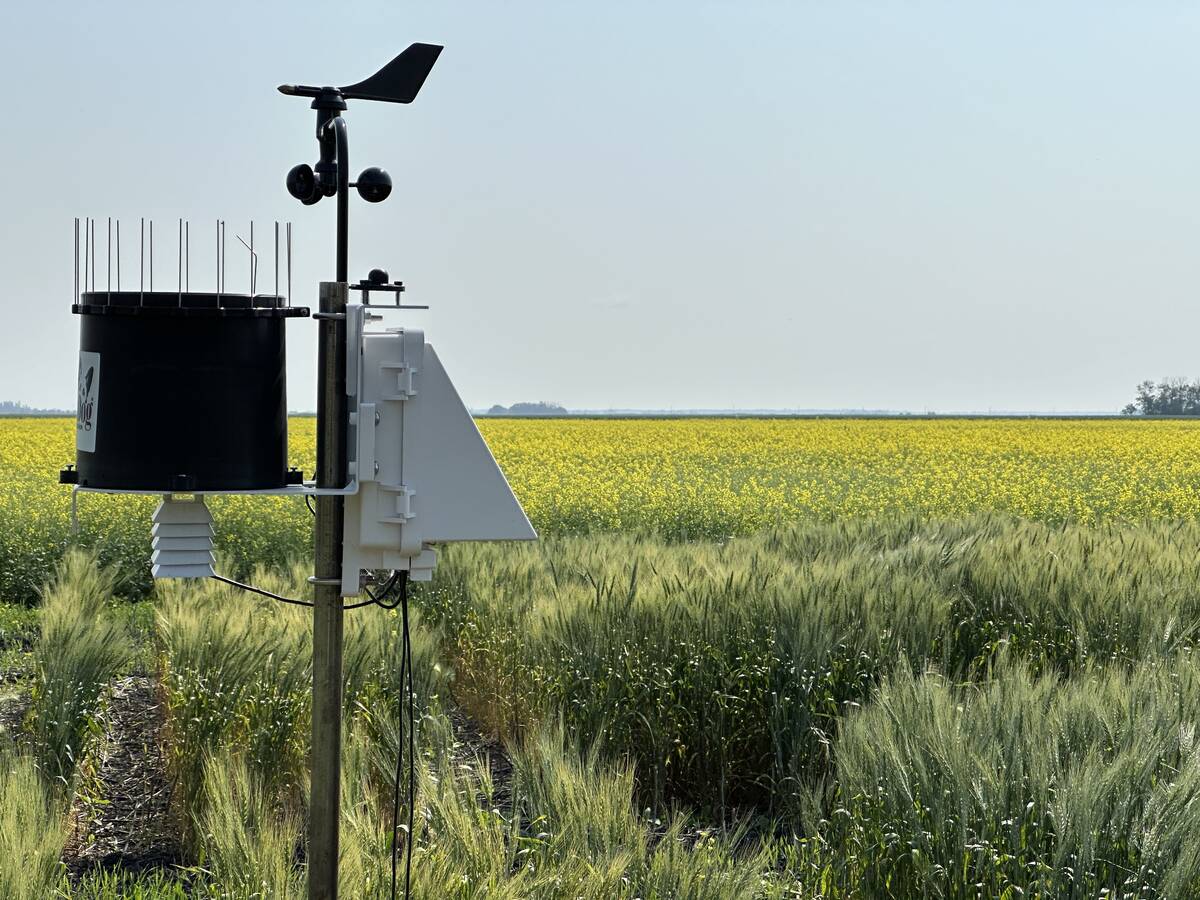 ECCC will create a new hybrid weather forecasting model, combining the predictive abilities of AI and traditional physics-based meteorology and the department’s knowledge of local factors for wind, temperature and precipitation. Photo: Don Norman
