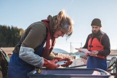 Two salmon farmers inspect a fish. Salmon is in high demand for Canadian aquaculture. Photo: Supplied
