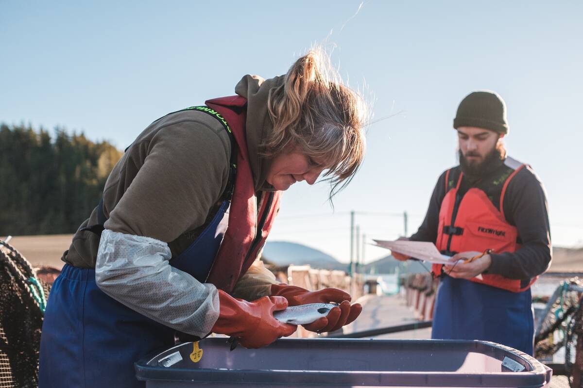 Two salmon farmers inspect a fish. Salmon is in high demand for Canadian aquaculture. Photo: Supplied
