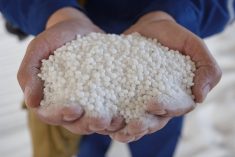 Pair of hands of plant worker holding white granules of nitrogen fertilizer. Production of big chemical factory. Elena Bionysheva-Abramova/iStock/Getty Images