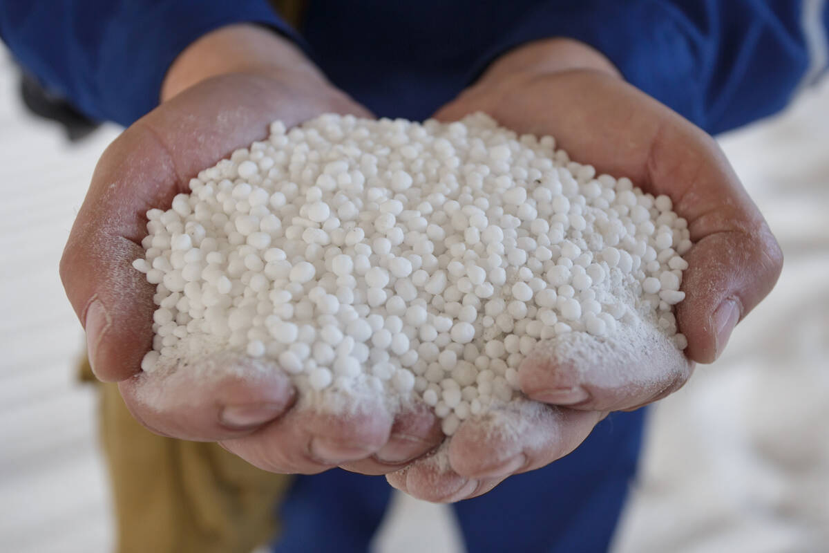 Pair of hands of plant worker holding white granules of nitrogen fertilizer. Production of big chemical factory. Elena Bionysheva-Abramova/iStock/Getty Images