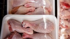 A variety of packages of chicken legs at the grocery store. Chicken demand has been significant over the past year, along with most other proteins. Photo: AHPPhotoswpg/Getty Images