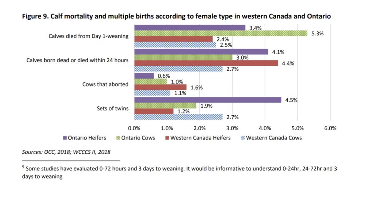 Calf mortality and multiple births according to female type. Source: Beef Cattle Research Council