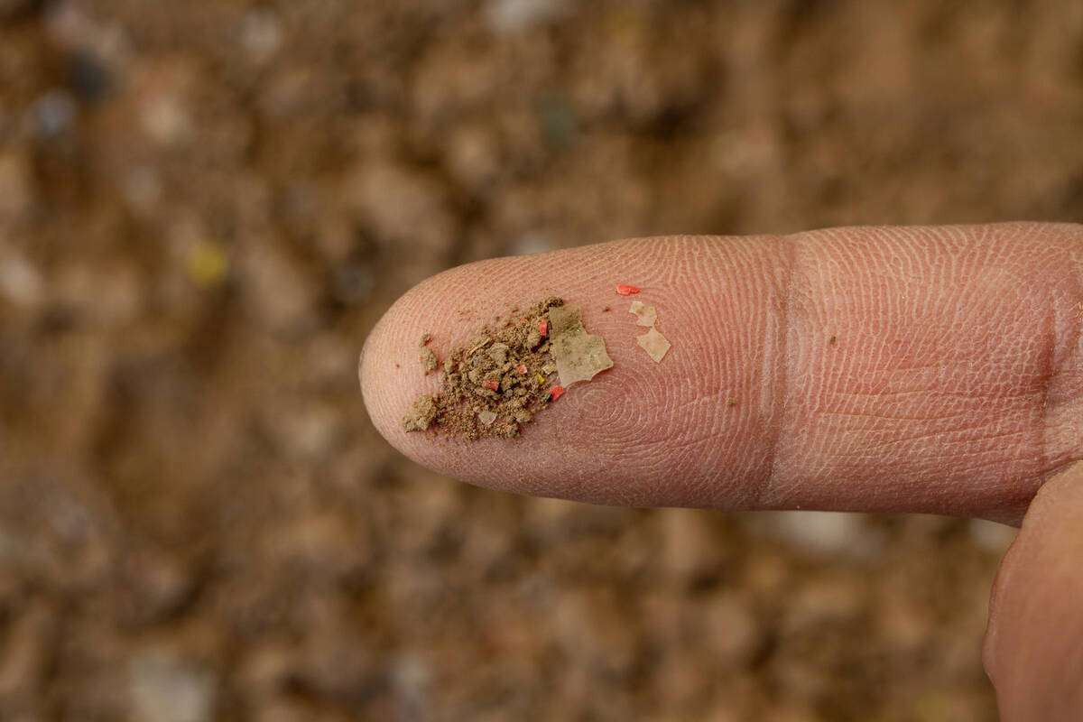Soil pollution, microplastic contamination in the soil on geologist's finger in close-up. Pic: Piyaset/iStock/Getty Images